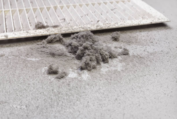 Best Air Duct Cleaning Cost  in Wayne, OH