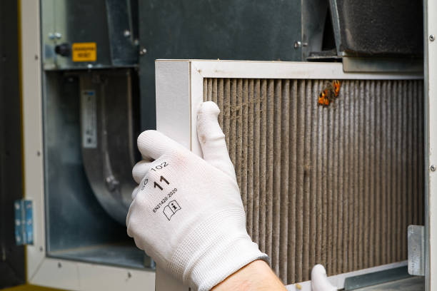 Best Dryer Vent Cleaning Services  in Wayne, OH