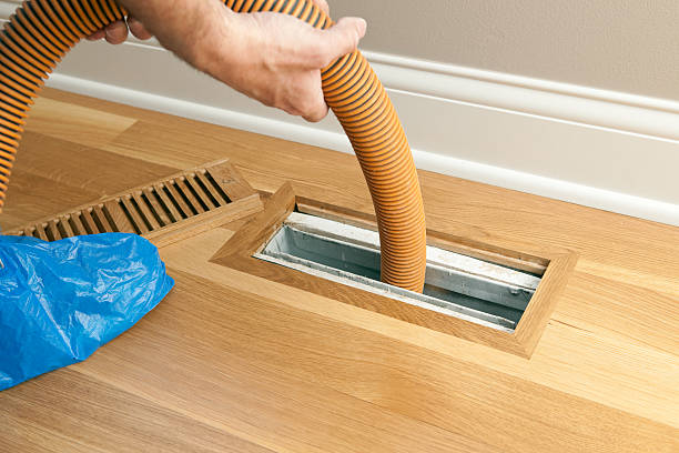 Best Air Duct Cleaning Company Near Me  in Wayne, OH