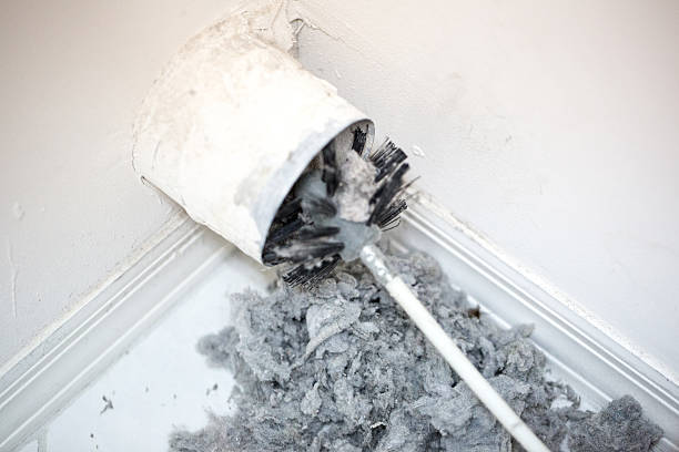 Best Ventilation Cleaning Services  in Wayne, OH
