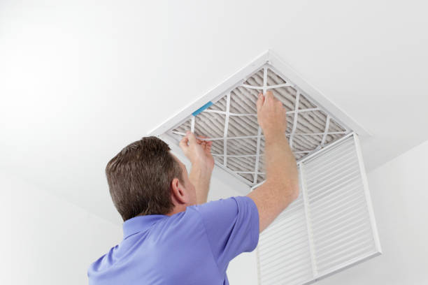 Best Affordable Air Duct Cleaning  in Wayne, OH